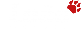 LOGO-LEAO-2