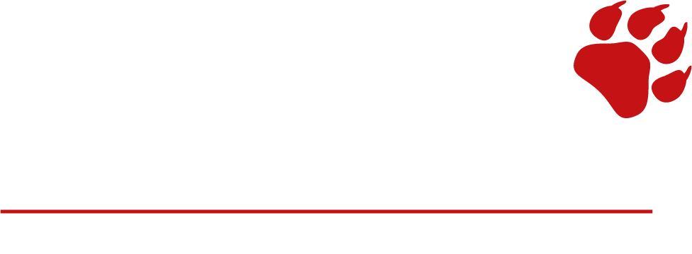 LOGO-LEAO-2